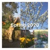 Photo 7: Spring in the garden