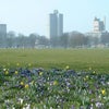 Photo 2: Opposite Victoria Park