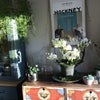 Photo 8: Kitchen dining area 