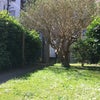 Photo 8: Shared garden
