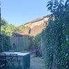 Photo 7: Garden