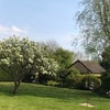 Photo 4:  Back garden in the summer!