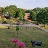 Photo 7: Communal Garden