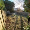Photo 7: Garden