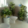 Photo 5: Bathroom