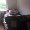 Photo 9: Bedroom