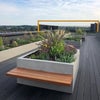 Photo 8: Rooftop Garden