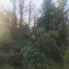 Photo 6: View from Window