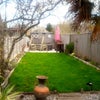 Photo 4: Garden