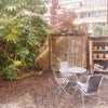 Photo 7: Garden