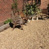 Photo 4: Sun all day in the garden
