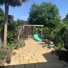 Photo 7: Garden