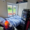 Photo 4: Small single