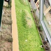 Photo 9: Private garden of the block