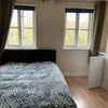 Photo 4: The room