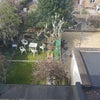 Photo 4: View From Bedroom