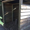Photo 6: Secure bike shed in back garden