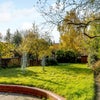 Photo 6: Garden
