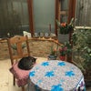 Photo 6: Conservatory