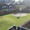 Photo 2: backyard