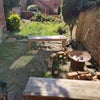 Photo 5: Garden