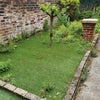 Photo 8: Garden