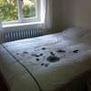 Photo 8: Double Bedroom
