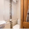 Photo 4: Toilet, with bidet spray attached. 