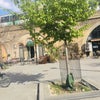 Photo 9: 1 Min walk to BR/Overground/Buses, Supermarkets/Restaurants/Bars..