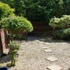 Photo 8: Communal Garden