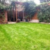 Photo 7: The garden