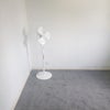 Photo 4: new carpet. freshly painted 
