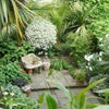 Photo 5: view of garden from bedroom