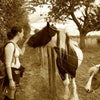 Photograph of judith