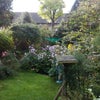 Photo 7: back garden