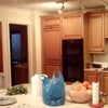 Photo 5: Kitchen