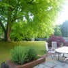 Photo 8: South facing garden