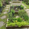 Photo 7: Fruit Veg Herbs garden