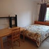 Photo 2: Room for rent