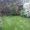 Photo 6: Rear Garden