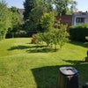 Photo 3: Rear Garden