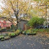 Photo 7: Courtyard and Recyling