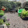 Photo 3: Small garden to sit out in