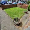 Photo 6: Front garden