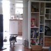 Photo 3: Lounge and dog