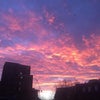 Photo 7: sunset view from room window