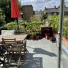 Photo 6: Our sun trap 