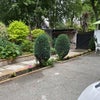Photo 8: Side Garden
