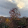 Photo 6: Views towards B'mth from the bedroom