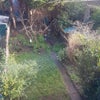 Photo 8: Back Garden